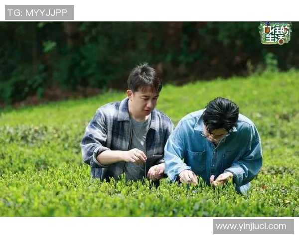 专访黄磊：探寻篮球成功背后的秘密与心路历程